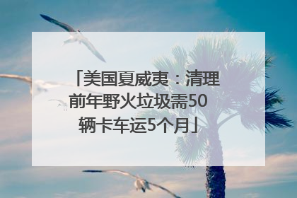 美国夏威夷：清理前年野火垃圾需50辆卡车运5个月