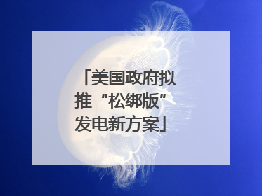 美国政府拟推“松绑版”发电新方案