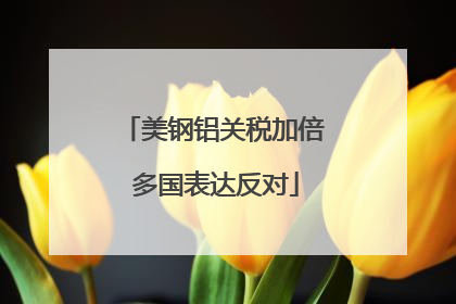 美钢铝关税加倍 多国表达反对