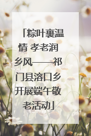 粽叶裹温情 孝老润乡风——祁门县溶口乡开展端午敬老活动