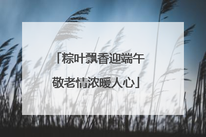 粽叶飘香迎端午 敬老情浓暖人心