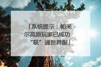 系统提示：帕米尔高原玩家已成功“联”通世界服
