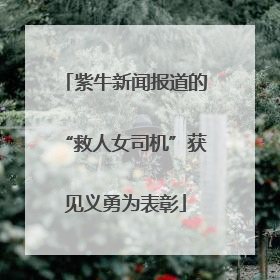 紫牛新闻报道的“救人女司机”获见义勇为表彰