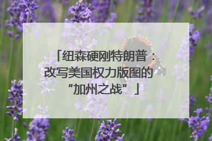 纽森硬刚特朗普：改写美国权力版图的 “加州之战”