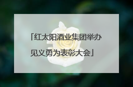 红太阳酒业集团举办见义勇为表彰大会