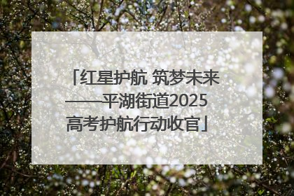 红星护航 筑梦未来——平湖街道2025高考护航行动收官