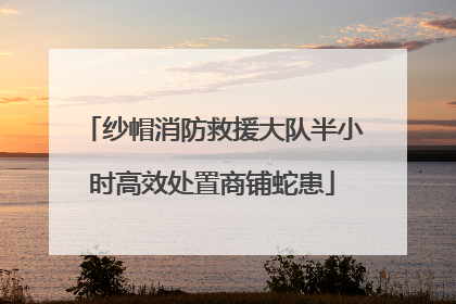 纱帽消防救援大队半小时高效处置商铺蛇患