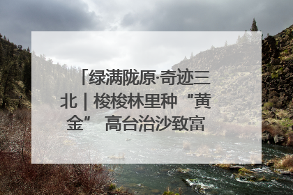 绿满陇原·奇迹三北｜梭梭林里种“黄金” 高台治沙致富很“从容”