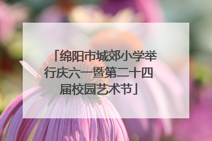 绵阳市城郊小学举行庆六一暨第二十四届校园艺术节