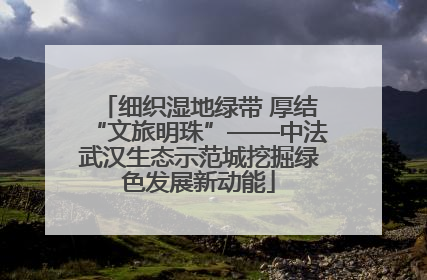 细织湿地绿带 厚结“文旅明珠”——中法武汉生态示范城挖掘绿色发展新动能