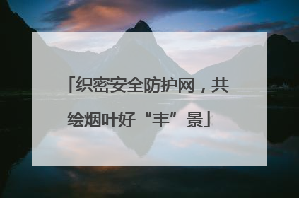 织密安全防护网，共绘烟叶好“丰”景