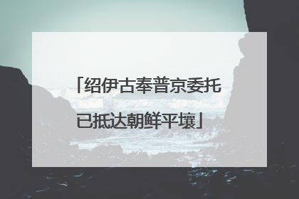 绍伊古奉普京委托已抵达朝鲜平壤