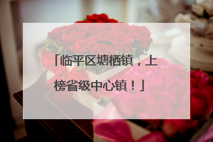临平区塘栖镇，上榜省级中心镇！