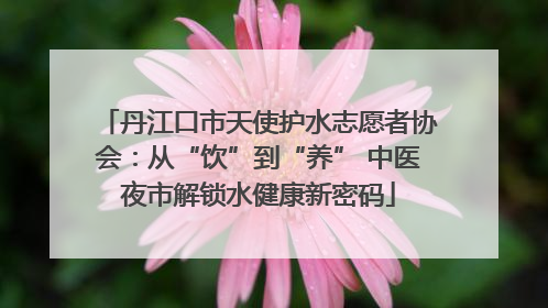 丹江口市天使护水志愿者协会：从“饮”到“养” 中医夜市解锁水健康新密码