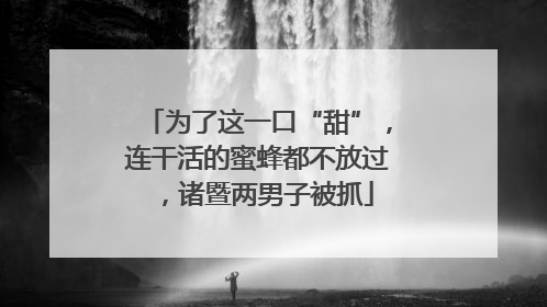为了这一口“甜”，连干活的蜜蜂都不放过，诸暨两男子被抓