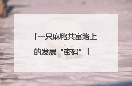 一只麻鸭共富路上的发展“密码”