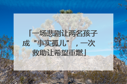 一场悲剧让两名孩子成“事实孤儿”，一次救助让希望重燃