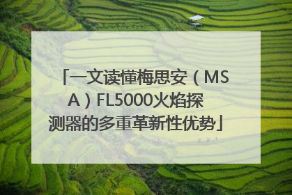 一文读懂梅思安（MSA）FL5000火焰探测器的多重革新性优势