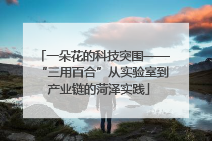 一朵花的科技突围——“三用百合”从实验室到产业链的菏泽实践