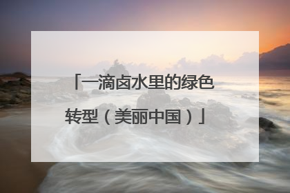 一滴卤水里的绿色转型（美丽中国）