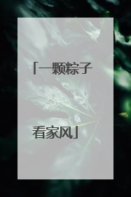 一颗粽子看家风