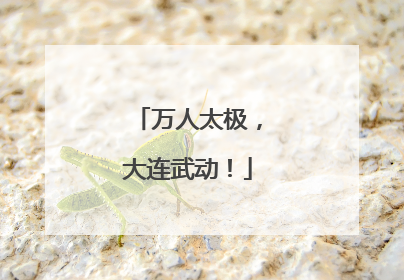 万人太极，大连武动！