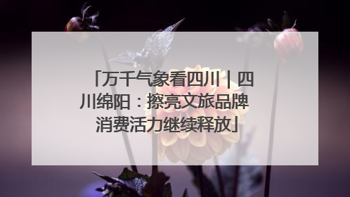 万千气象看四川｜四川绵阳：擦亮文旅品牌 消费活力继续释放