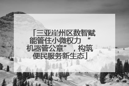 三亚崖州区数智赋能管住小微权力 “机器管公章”，构筑便民服务新生态