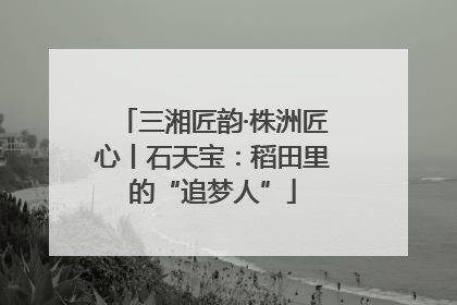 三湘匠韵·株洲匠心丨石天宝：稻田里的“追梦人”