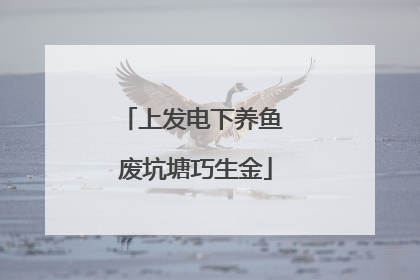 上发电下养鱼 废坑塘巧生金