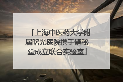 上海中医药大学附属曙光医院携手鹊秘堂成立联合实验室