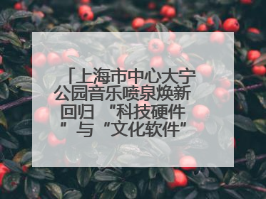 上海市中心大宁公园音乐喷泉焕新回归 “科技硬件”与“文化软件”完美融合