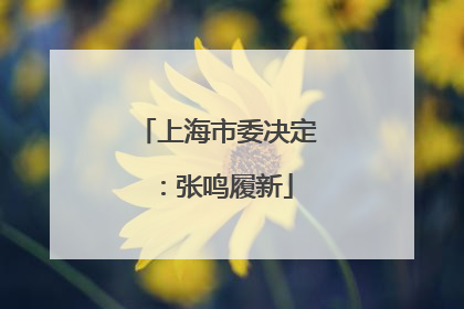 上海市委决定：张鸣履新