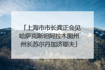 上海市市长龚正会见哈萨克斯坦阿拉木图州州长苏尔丹加济耶夫