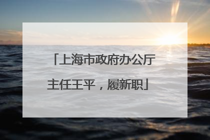 上海市政府办公厅主任王平，履新职