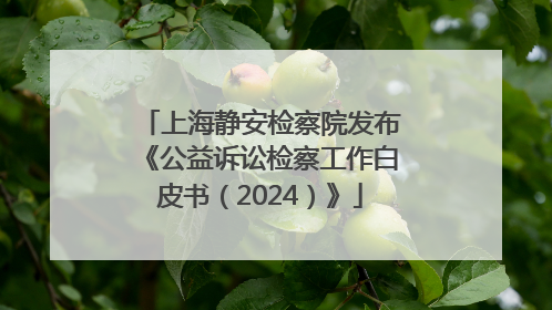 上海静安检察院发布《公益诉讼检察工作白皮书（2024）》