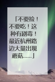 不要捡！不要吃！这种有剧毒！最近杭州路边大量出现蘑菇……