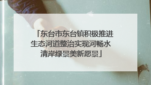 东台市东台镇积极推进生态河道整治实现河畅水清岸绿景美新愿景