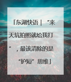 东湖快语｜“来天坑拍照就给我打”，最该清除的是“护短”思维