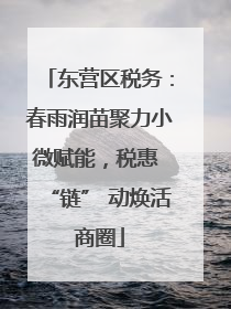 东营区税务：春雨润苗聚力小微赋能，税惠 “链” 动焕活商圈