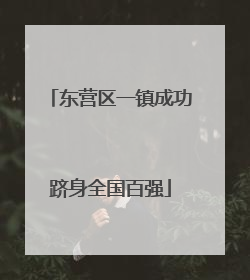 东营区一镇成功跻身全国百强