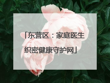 东营区：家庭医生织密健康守护网