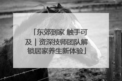 东郊到家 触手可及｜资深技师团队解锁居家养生新体验
