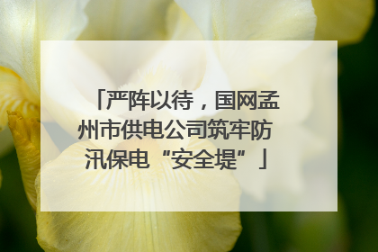 严阵以待，国网孟州市供电公司筑牢防汛保电“安全堤”
