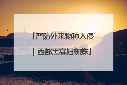 严防外来物种入侵｜西部黑寡妇蜘蛛