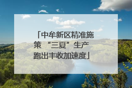 中牟新区精准施策 “三夏”生产跑出丰收加速度