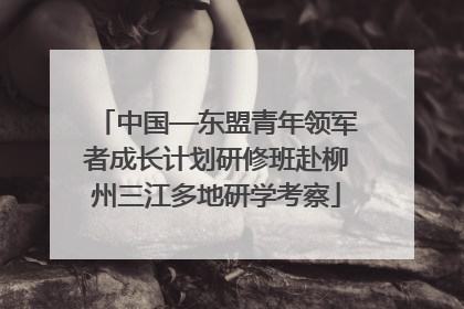 中国—东盟青年领军者成长计划研修班赴柳州三江多地研学考察