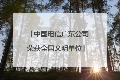 中国电信广东公司荣获全国文明单位