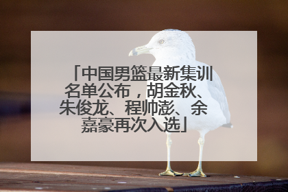 中国男篮最新集训名单公布，胡金秋、朱俊龙、程帅澎、余嘉豪再次入选