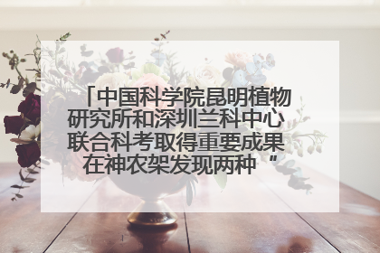中国科学院昆明植物研究所和深圳兰科中心联合科考取得重要成果 在神农架发现两种“国保”级兰花